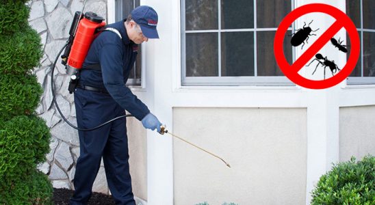 Bekilli Hamam Böceği İlaçlama böcek ilaçlama ve haşere kontrolü — ilaclama-tr.com